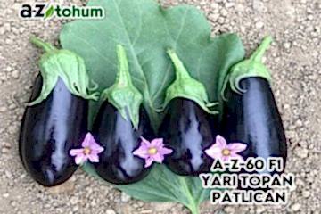 A-Z-60 F1 Yarı Topan Patlıcan