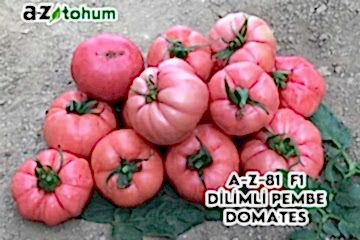 A-Z-81 F1 Dilimli Pembe Domates
